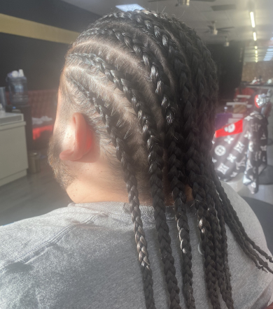 Cornrows for Mone_scott